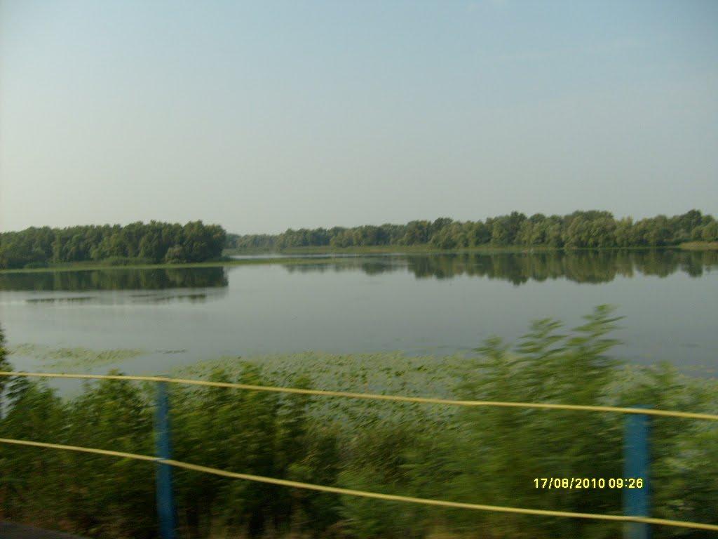 Кушугум з panoramio.com - Кушугум