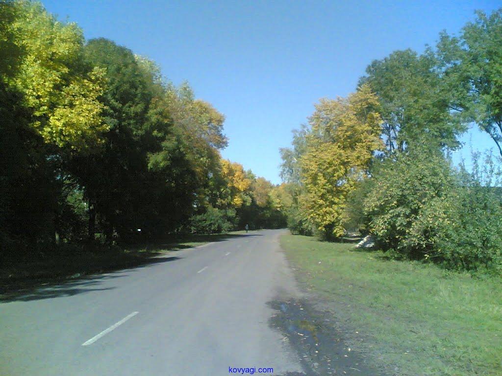 Ков'яги з panoramio.com - Ковяги