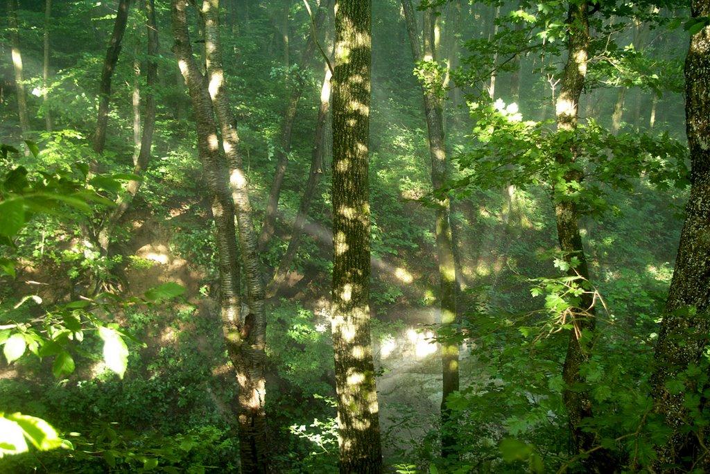 Нефедівці з panoramio.com - Нефедівці