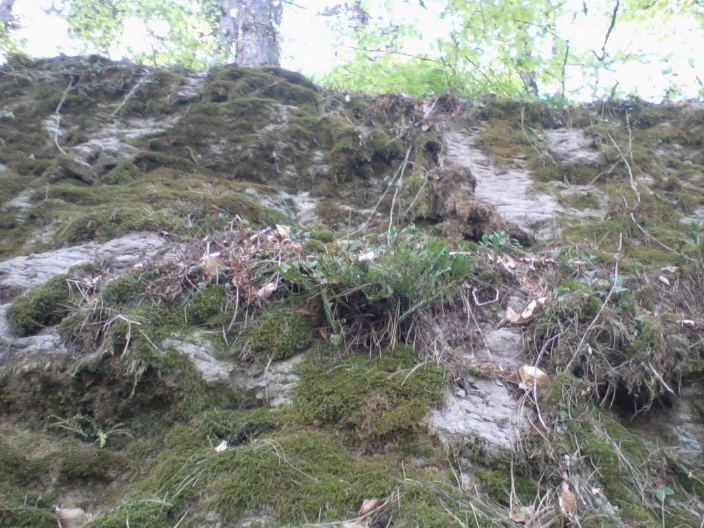 Хижа з panoramio.com - Хижа