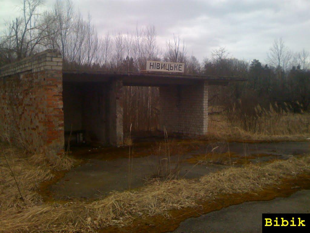 Нівецьке з panoramio.com - Нивецкое