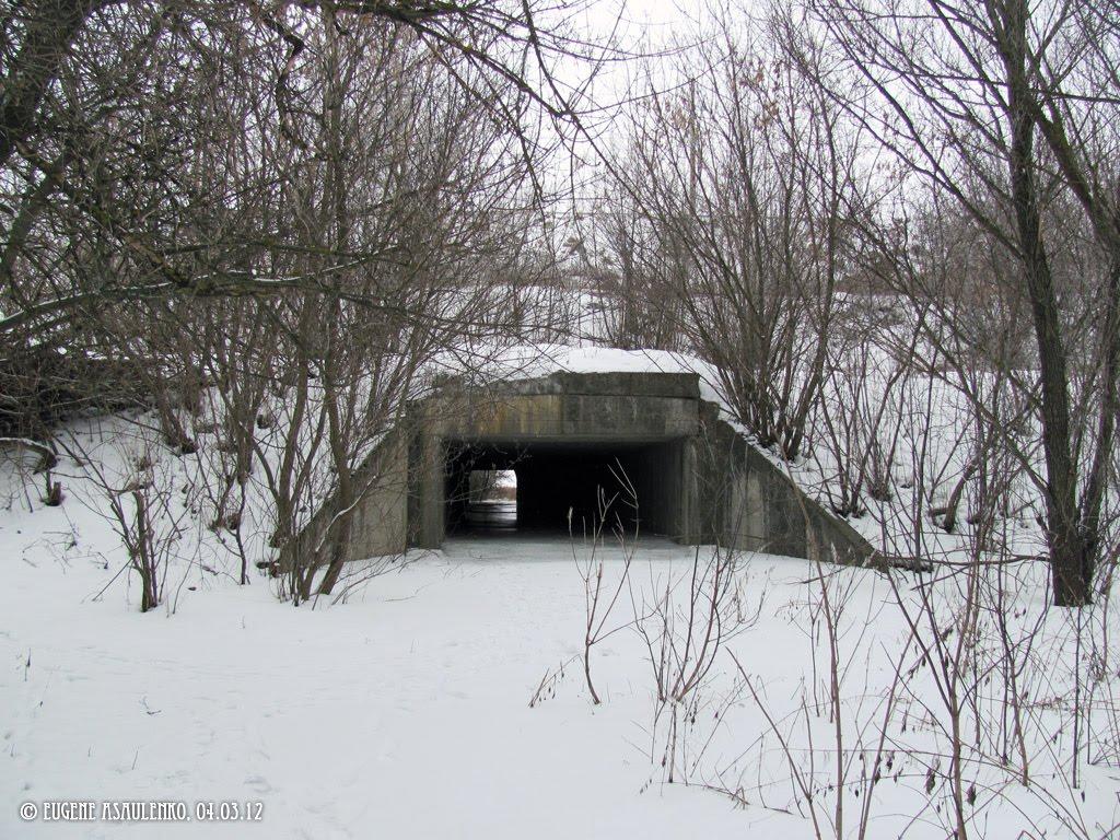 Супрунівка з panoramio.com - Супрунівка