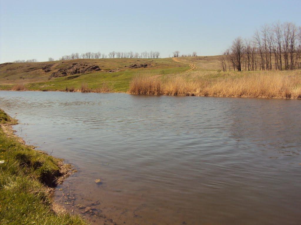 Павлопіль з panoramio.com - Павлопіль