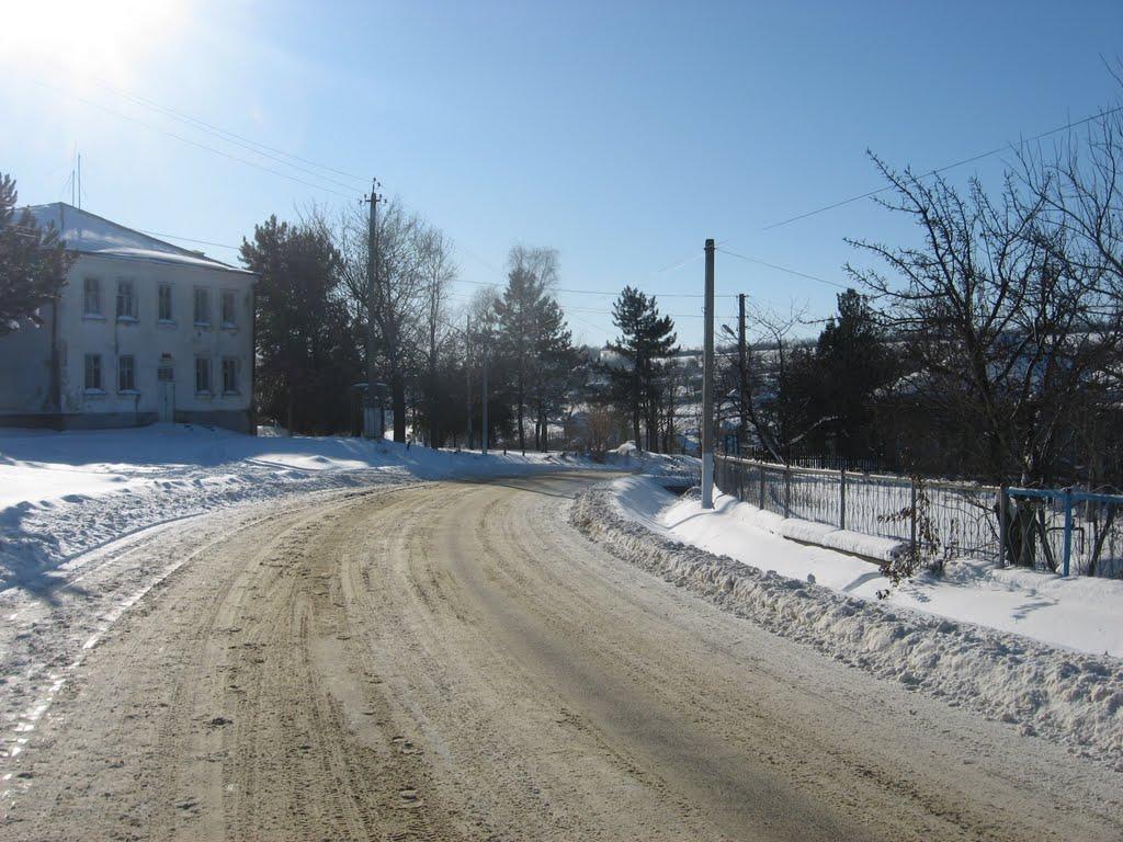 Домниця з panoramio.com - Domnytsya