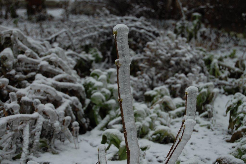 Калинівка з panoramio.com - Калинівка