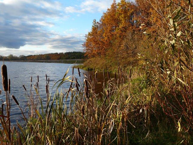 Кролевець з panoramio.com - Кролевец