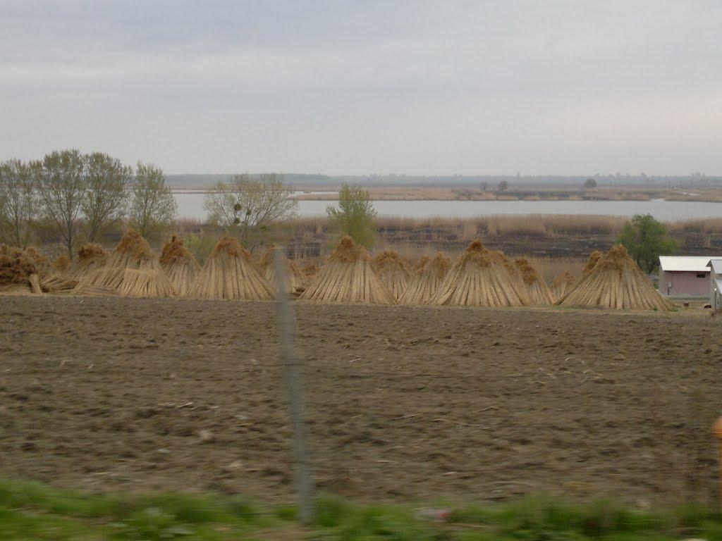 Орлівка з panoramio.com - Orlivka