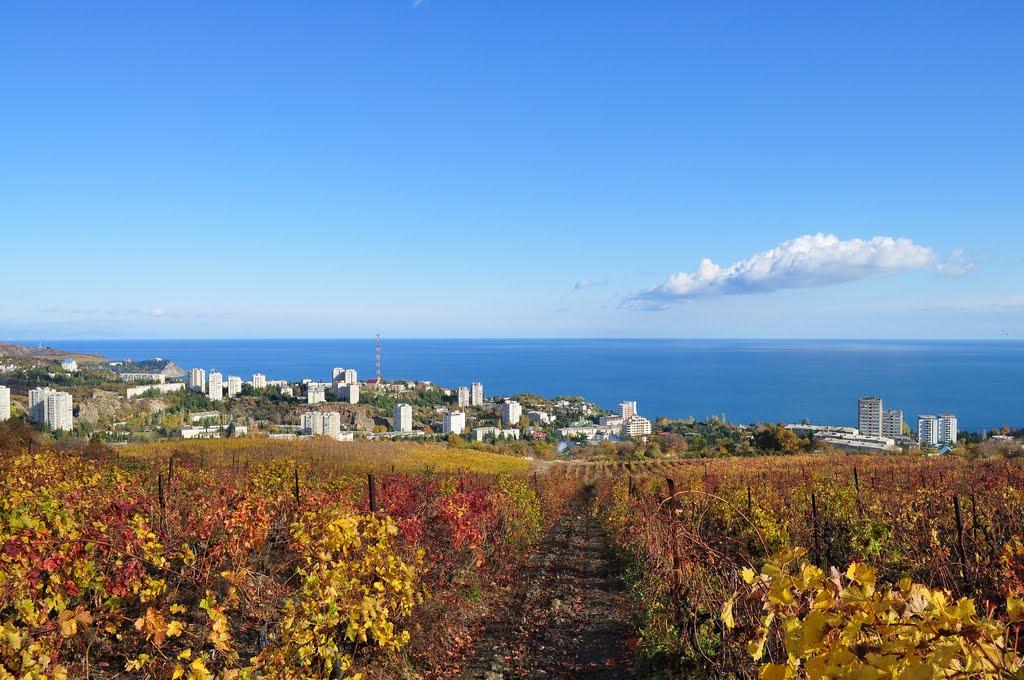 Запрудне з panoramio.com - Zaprudne
