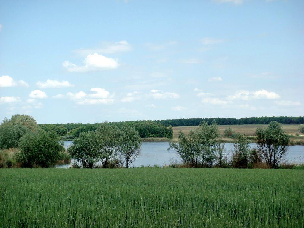 Окнине з panoramio.com - Окнине