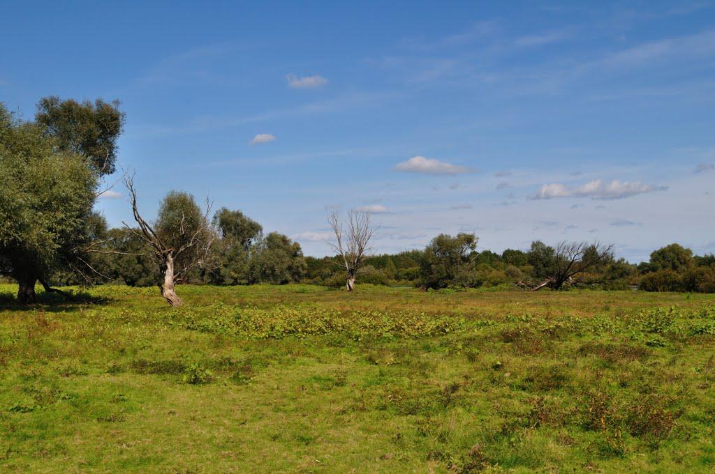 Миси з panoramio.com - Миси