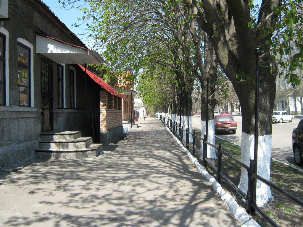 Оріхів з panoramio.com - Оріхів