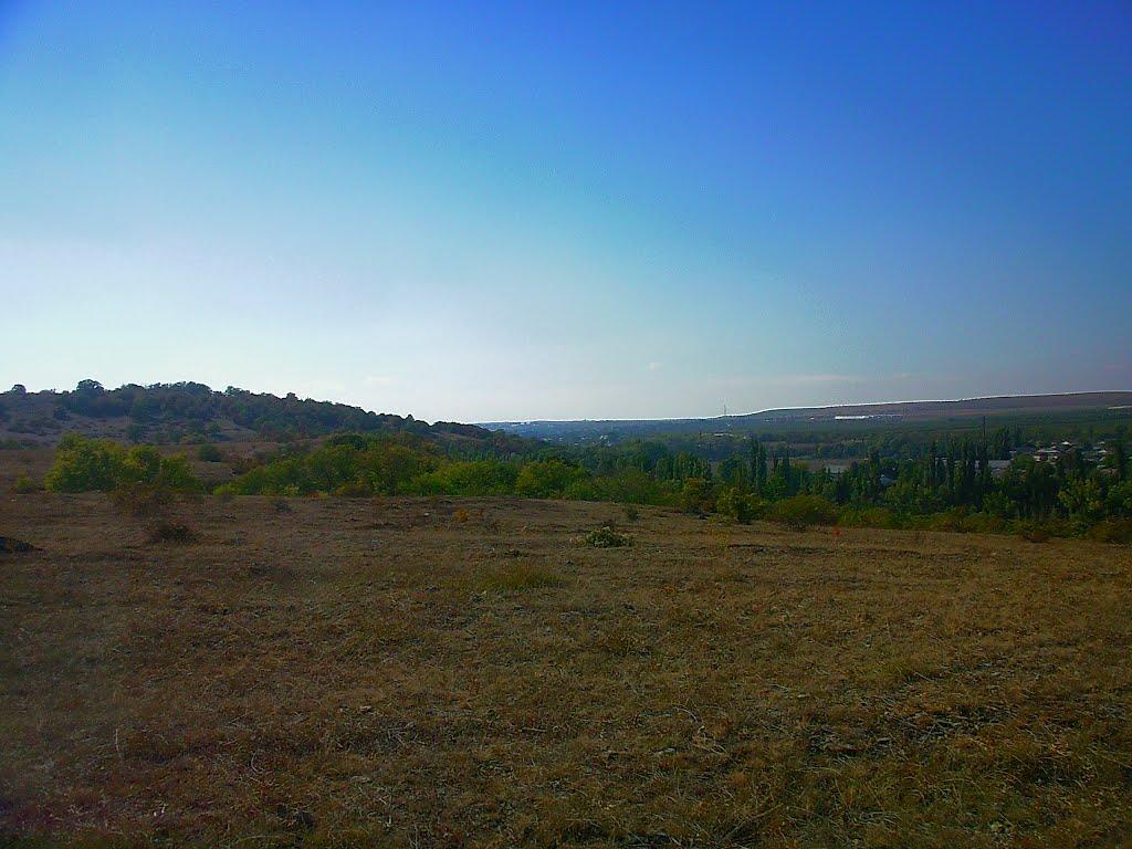 Каштани з panoramio.com - Kashtany