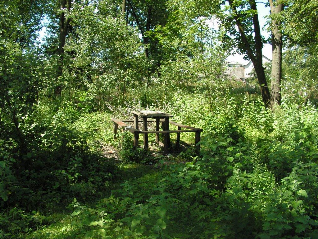 Шацьк з panoramio.com - Шацк