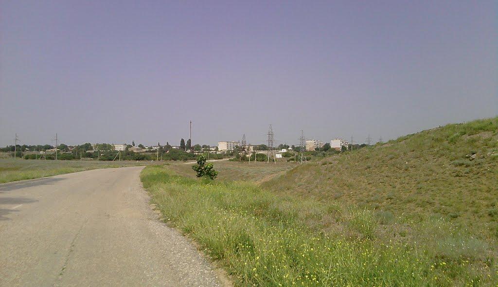 Скворцове з panoramio.com - Скворцове