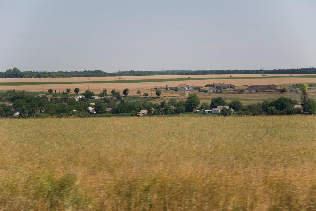 Мічуріне з panoramio.com - Мічуріне