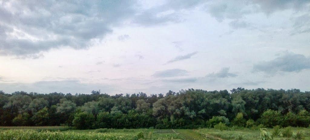 Каленики з panoramio.com - Каленики