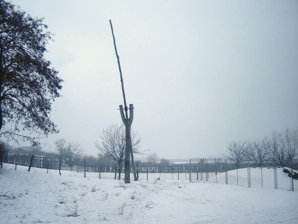 Орлівка з panoramio.com - Orlivka