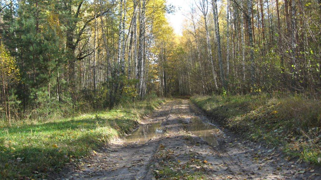 Жукля з panoramio.com - Жукля