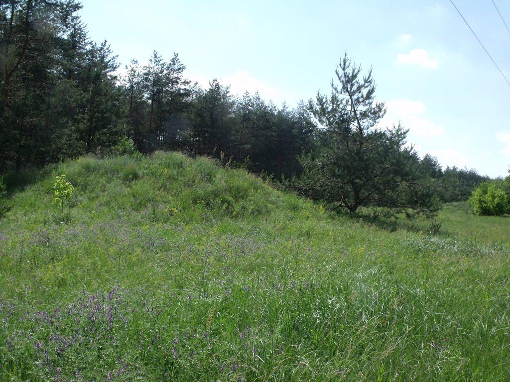 Васищеве з panoramio.com - Васищеве