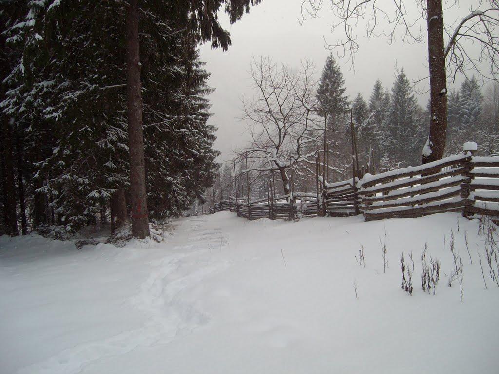 Фальків з panoramio.com (ч.2) - Фальків
