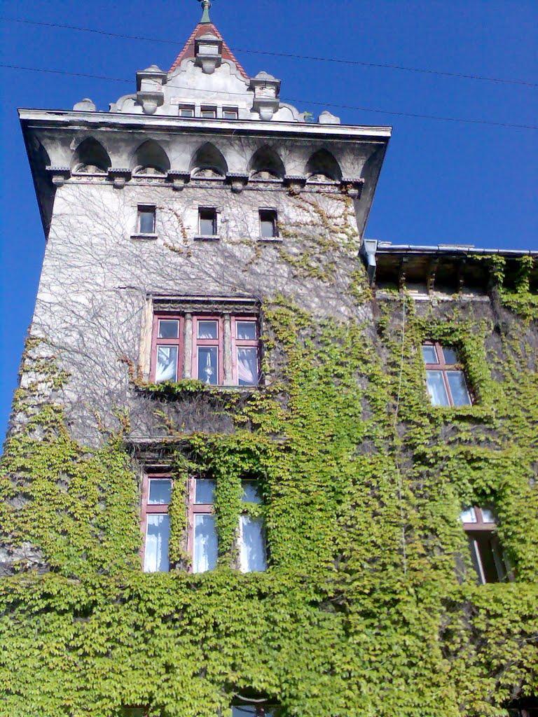 Броди з panoramio.com - Броды