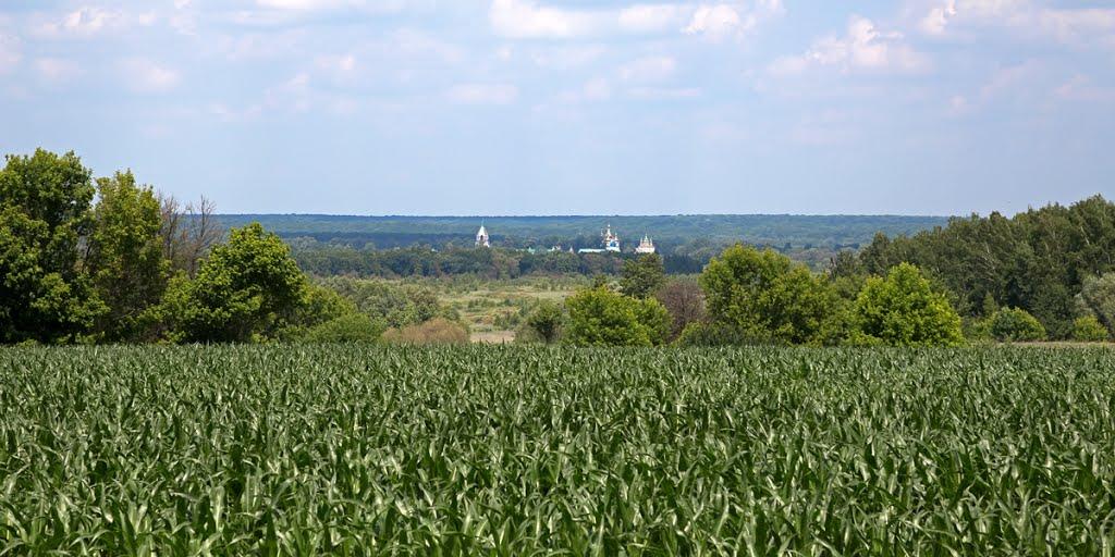 Боршна з panoramio.com - Боршна