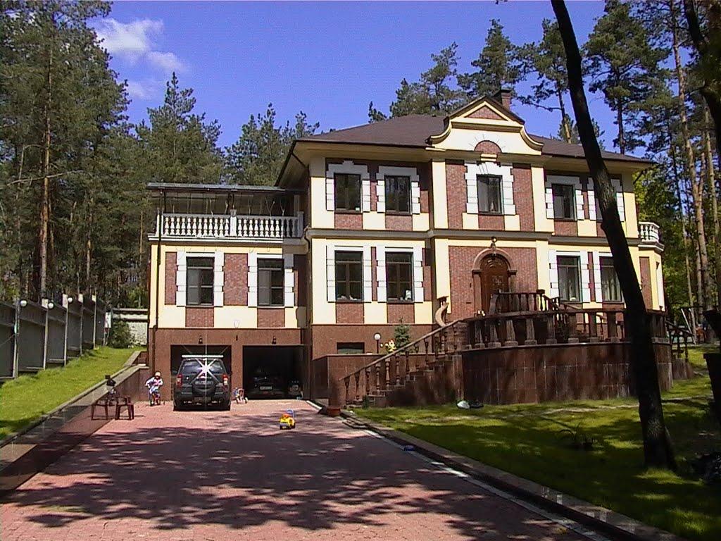 Козин з panoramio.com - Козин