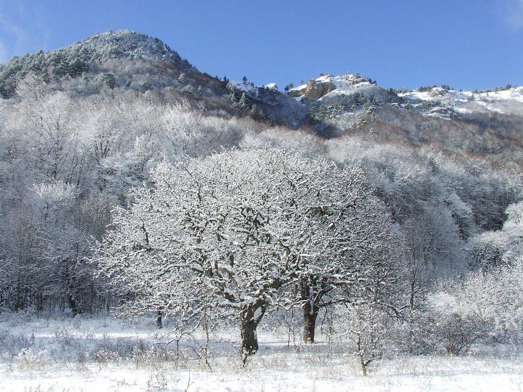 Запрудне з panoramio.com - Запрудне