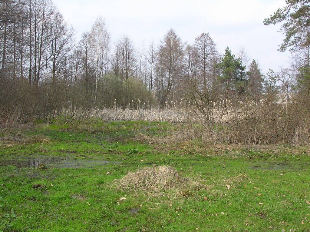 Горщик з panoramio.com - Горщик