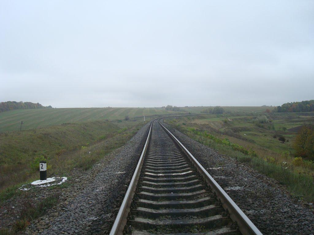 Нижчі Вовківці з panoramio.com - Nyzhchi Vovkivtsi