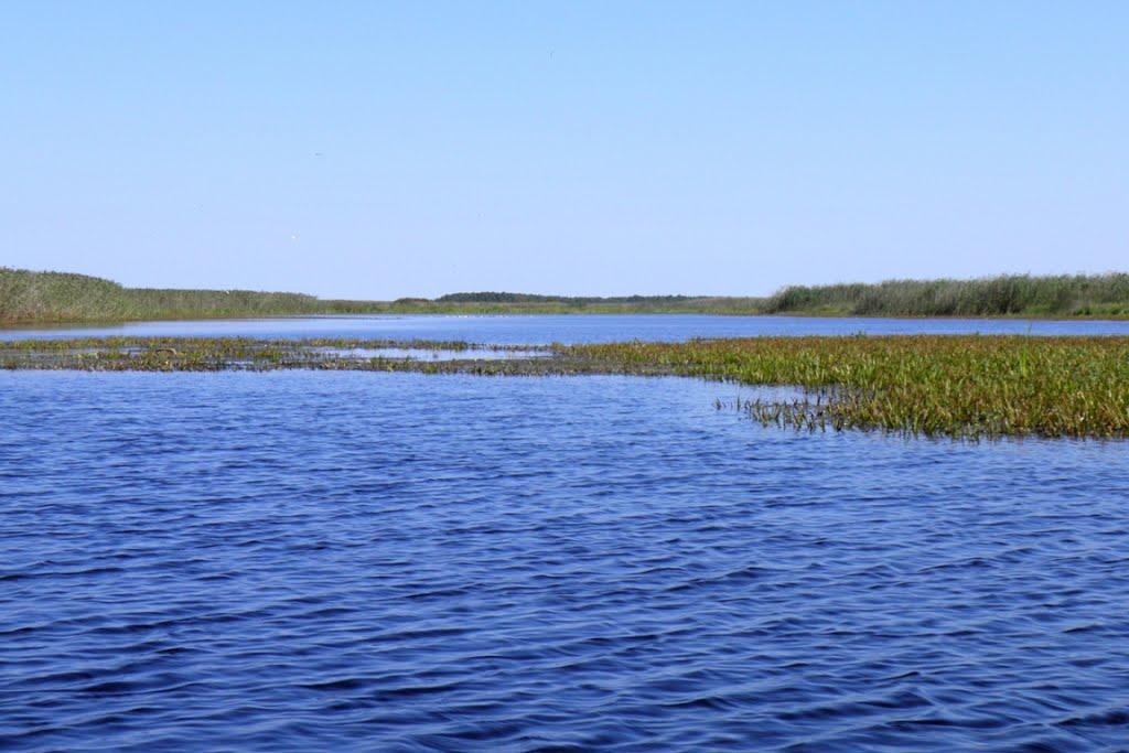 Млин з panoramio.com - Млын