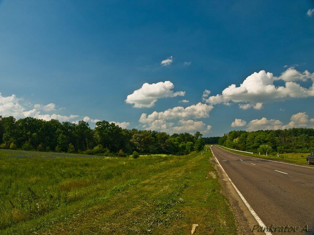 Підлісне з panoramio.com - Підлісне
