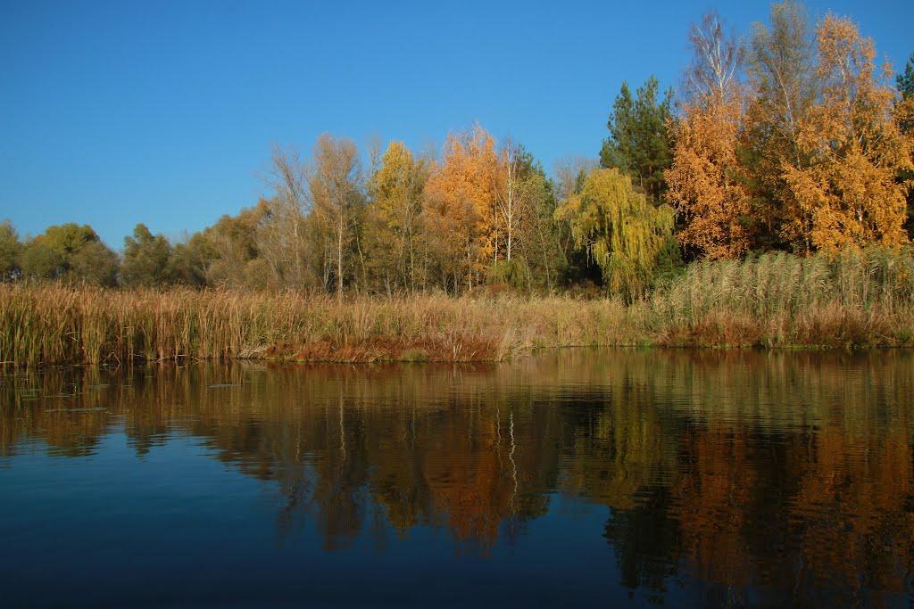 Орлик з panoramio.com - Орлик