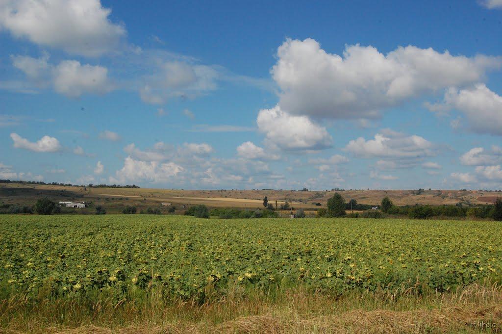 Серебрянка з panoramio.com - Серебрянка