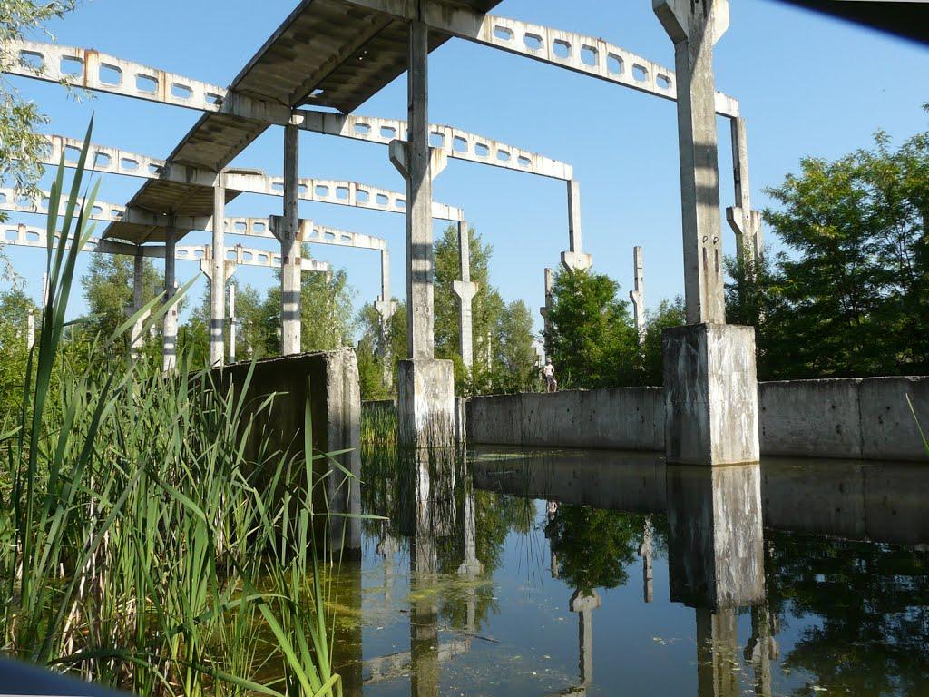Вітове з panoramio.com - Витово