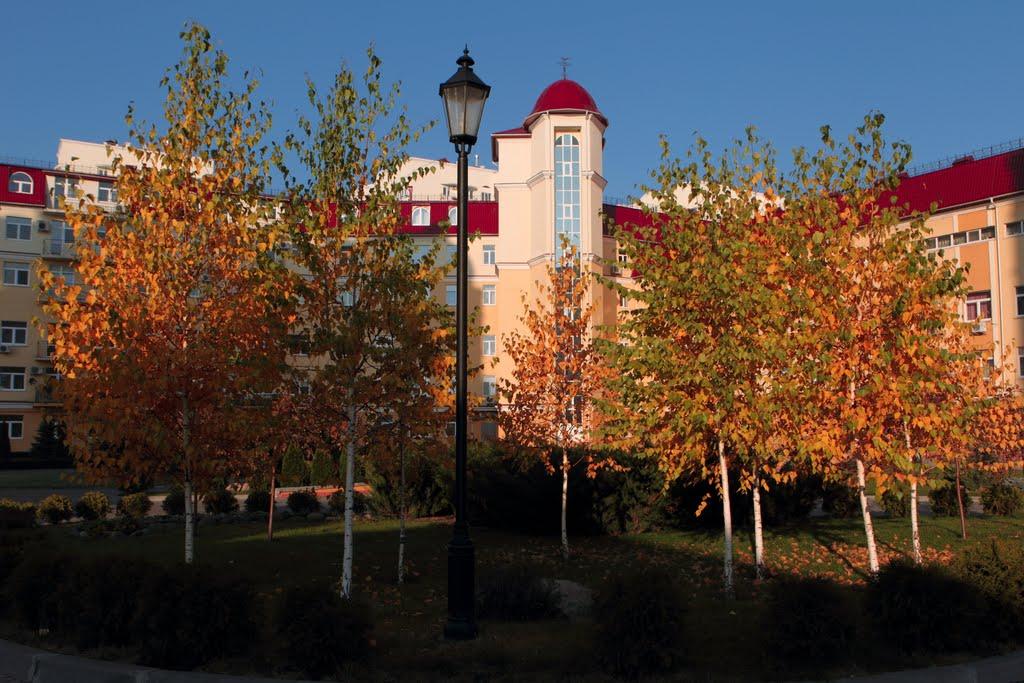 Білогородка з panoramio.com - Bilogorodka