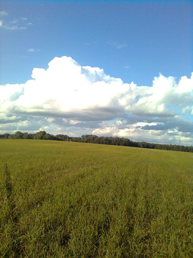 Гмирянка з panoramio.com - Гмирянка