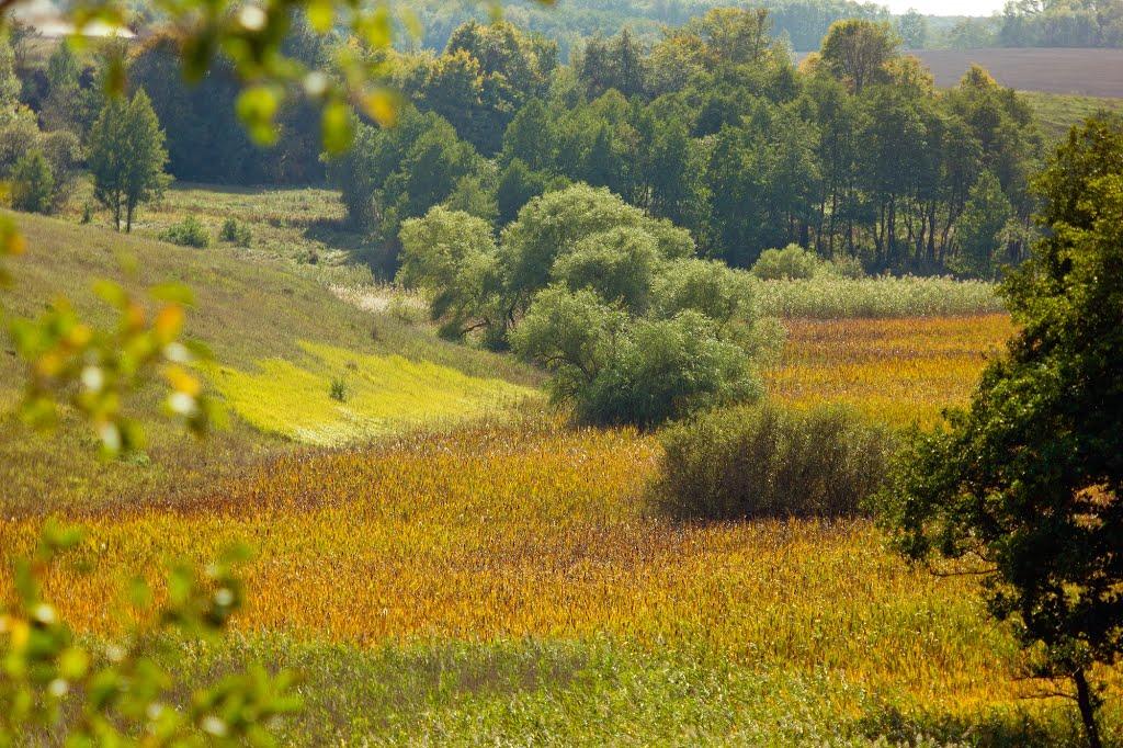 Вертіївка з panoramio.com - Вертіївка