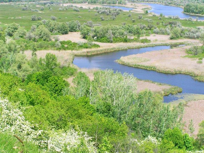 Вільховатка з panoramio.com - Вільховатка