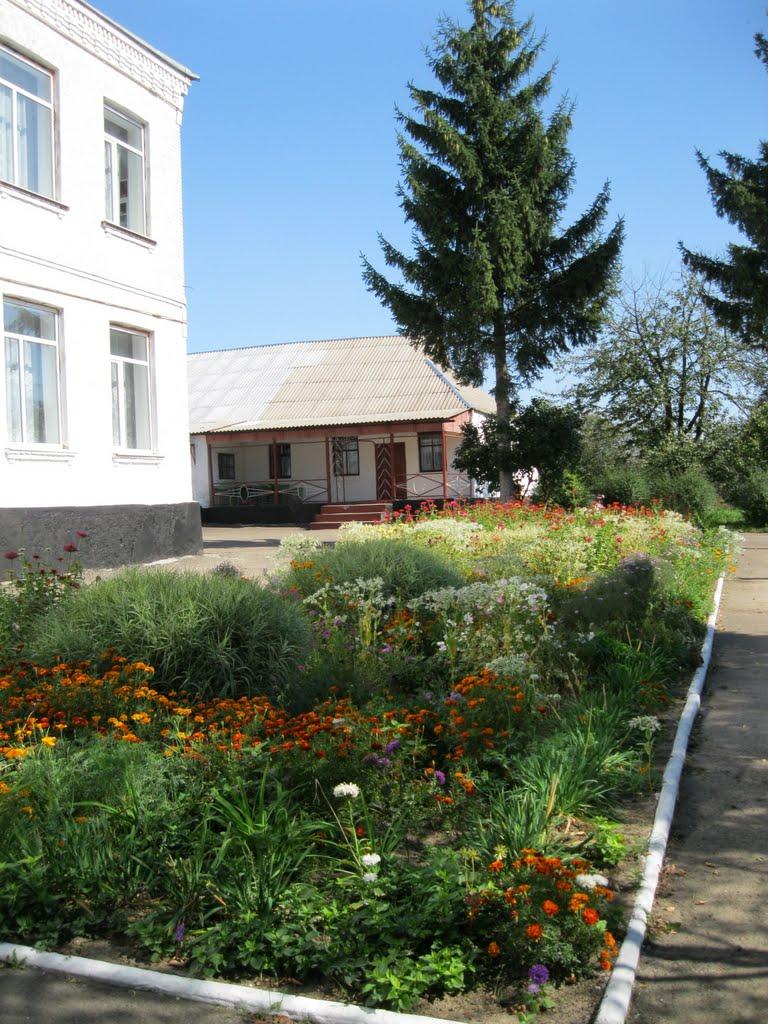 Полянецьке з panoramio.com - Полянецьке