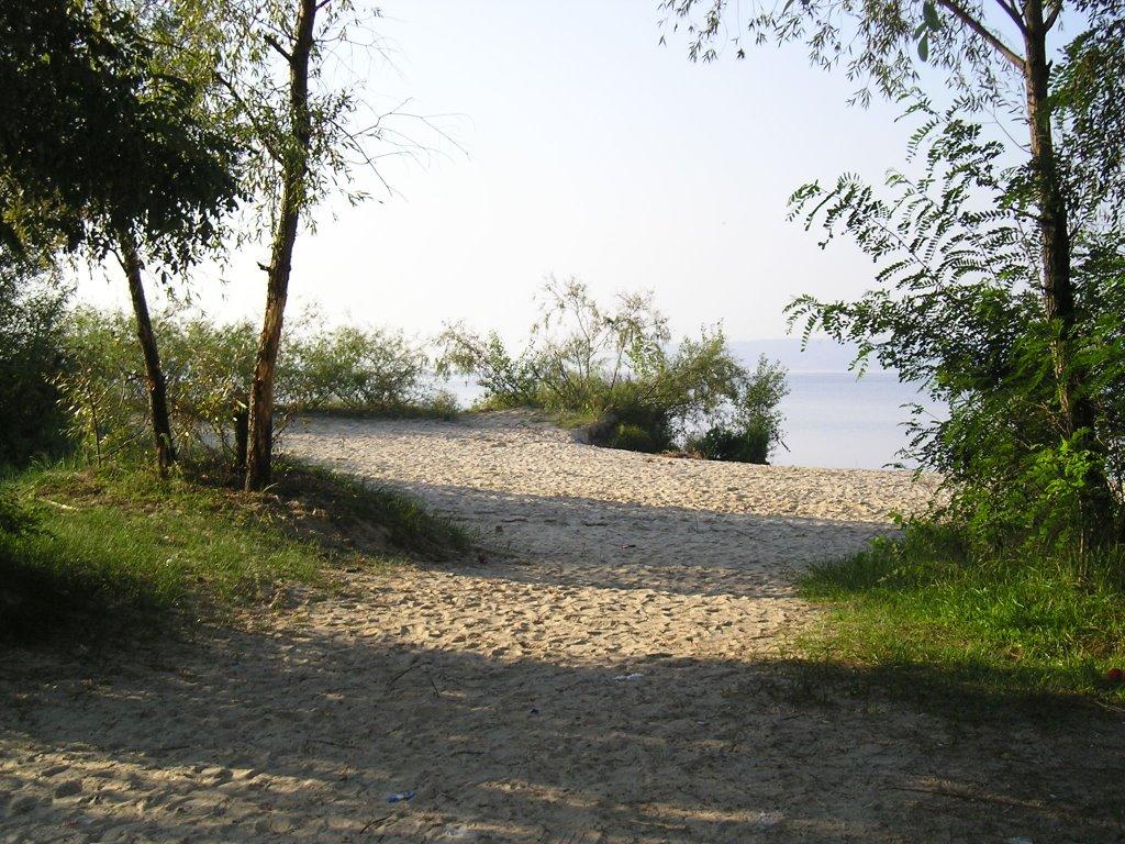 Логвин з panoramio.com - Логвин