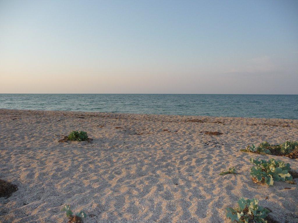 Стерегуще з panoramio.com - Стерегущее