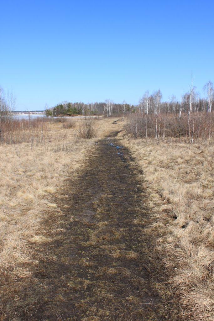 Тетерівка з panoramio.com - Тетеревка