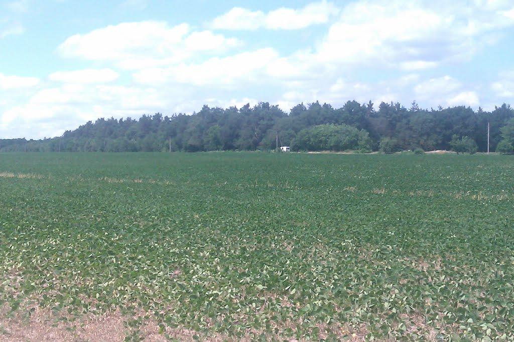 Виграїв з panoramio.com - Виграїв