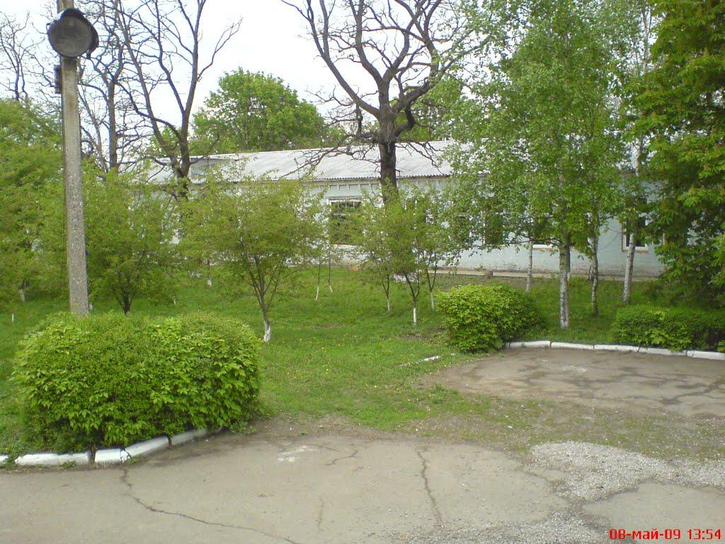 Аджамка з panoramio.com - Аджамка