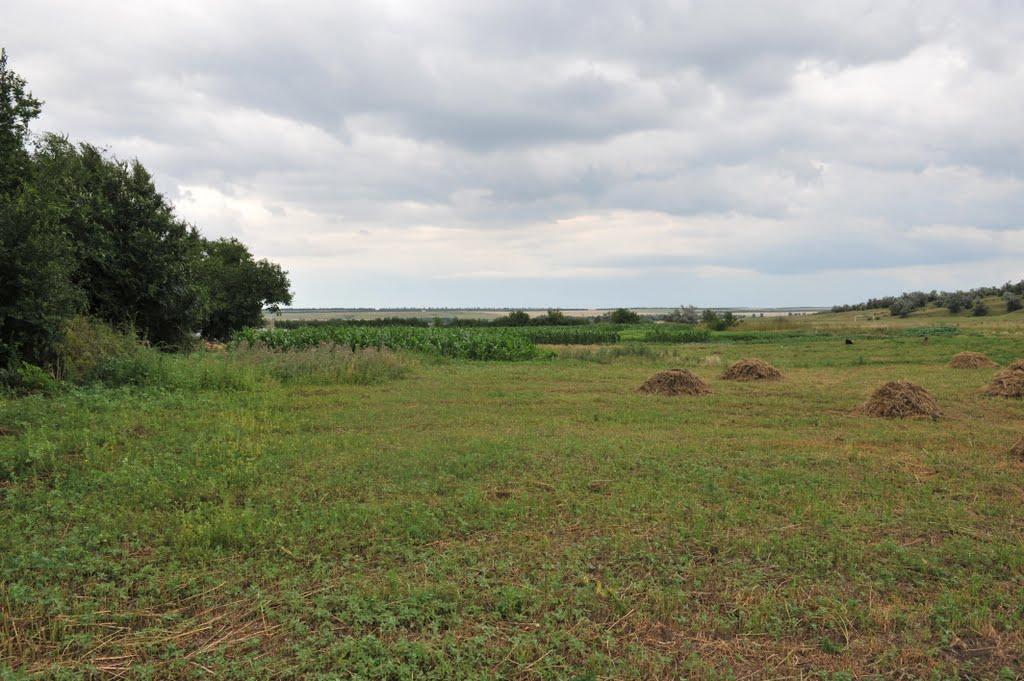 Бецилове з panoramio.com - Betsylove