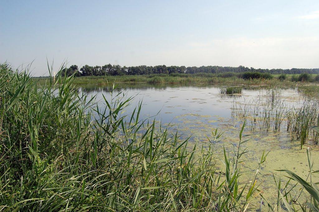 Нова Астрахань з panoramio.com - Нова Астрахань