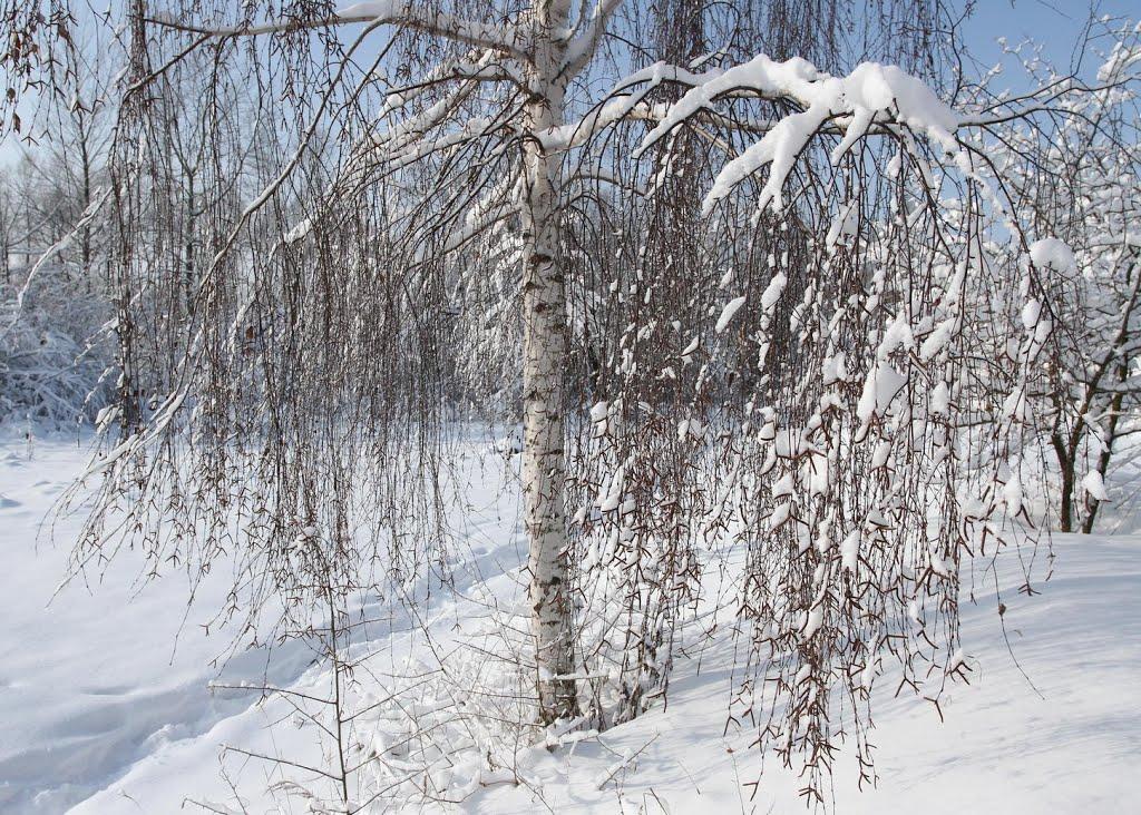 Новосілки з panoramio.com - Новоселки