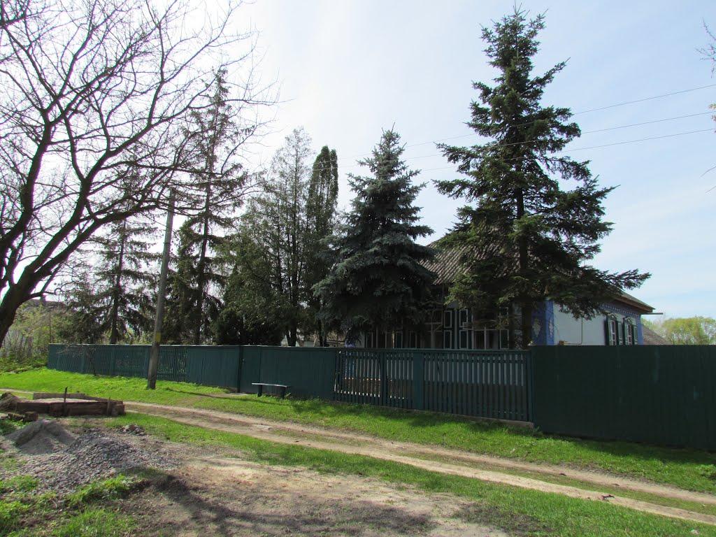 Дубовий Гай з panoramio.com - Дубовый Гай