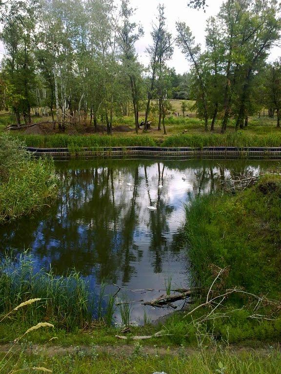 Комсомольськ з panoramio.com - Комсомольск